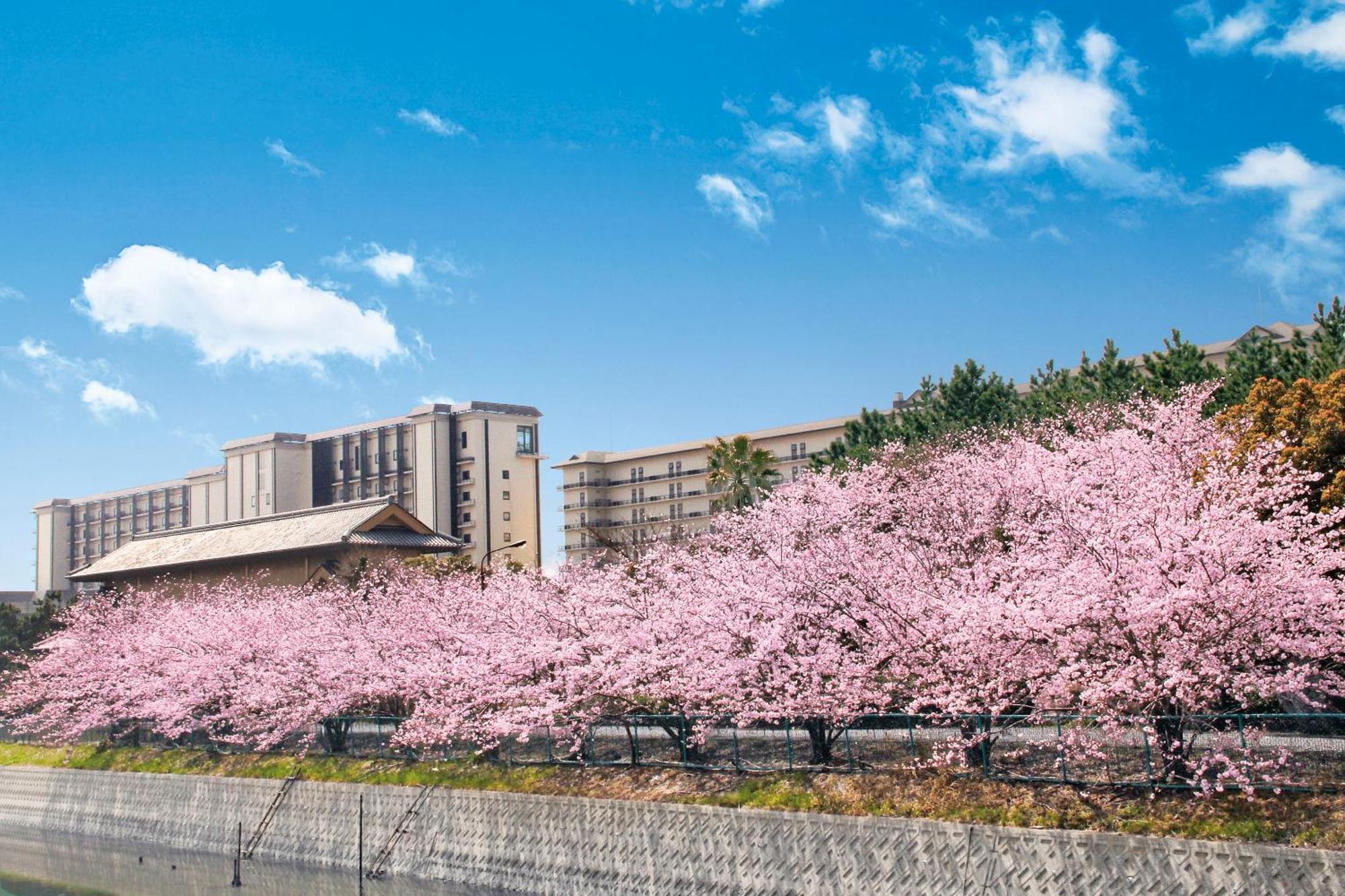 Ryugujo Spa Hotel Mikazuki Fujimitei 木更津市 外观 照片